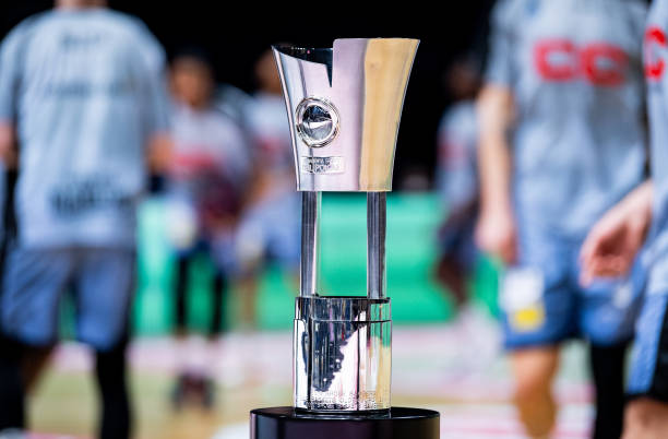 王艺迪的拼 王艺迪的拼